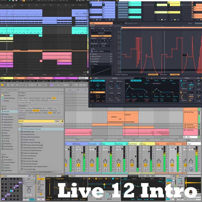 Live 12 Intro (代引不可)(オンライン納品) ableton (新品)