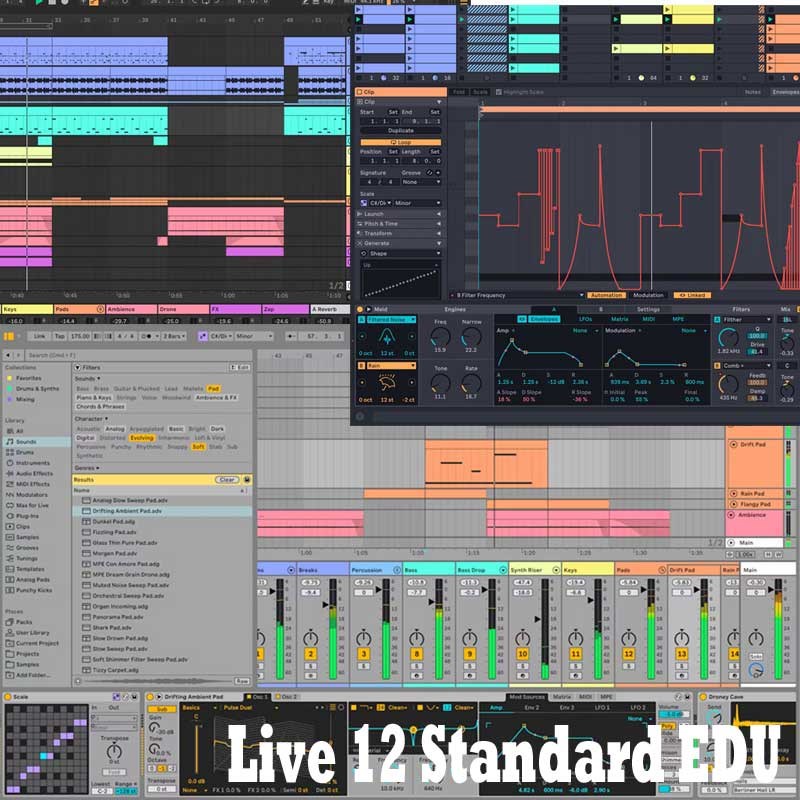 Live 12 Standard EDU 観念的版 (代引不可)(オンライン納品) ableton (新品)