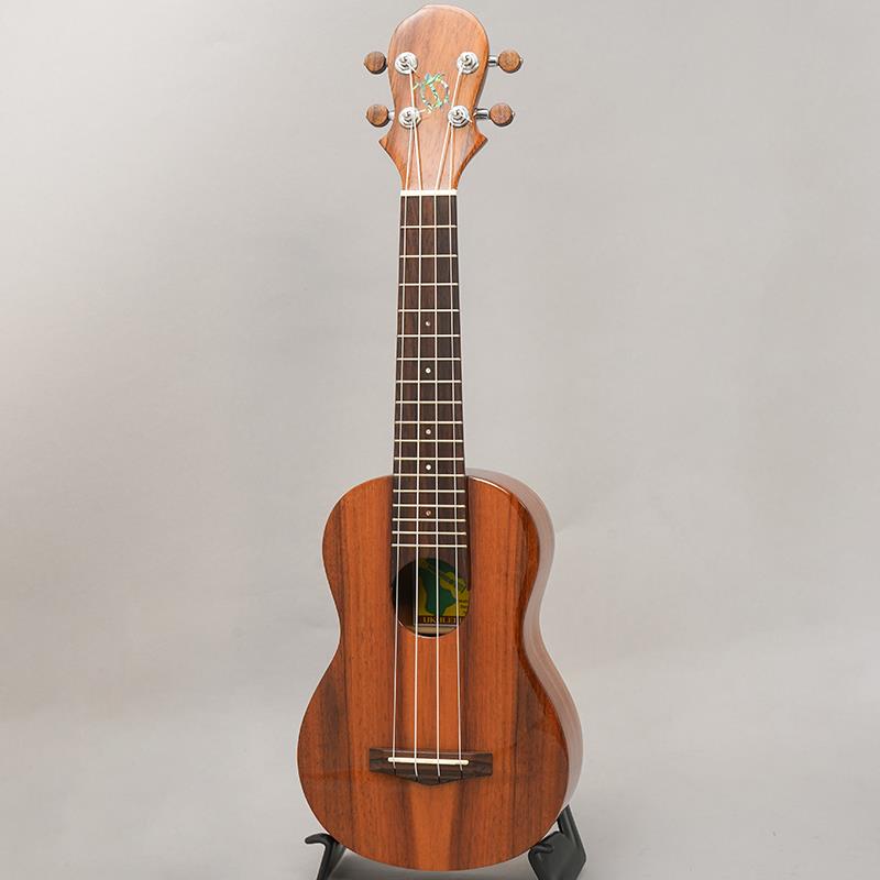 KT-SPS ビッグアイランド BIG ISLAND (新品) 42,240円