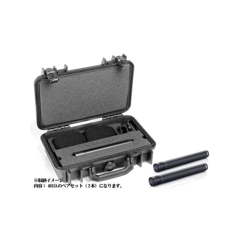 ST4015A ステレオ・キット（4015A×2） DPA (新品)