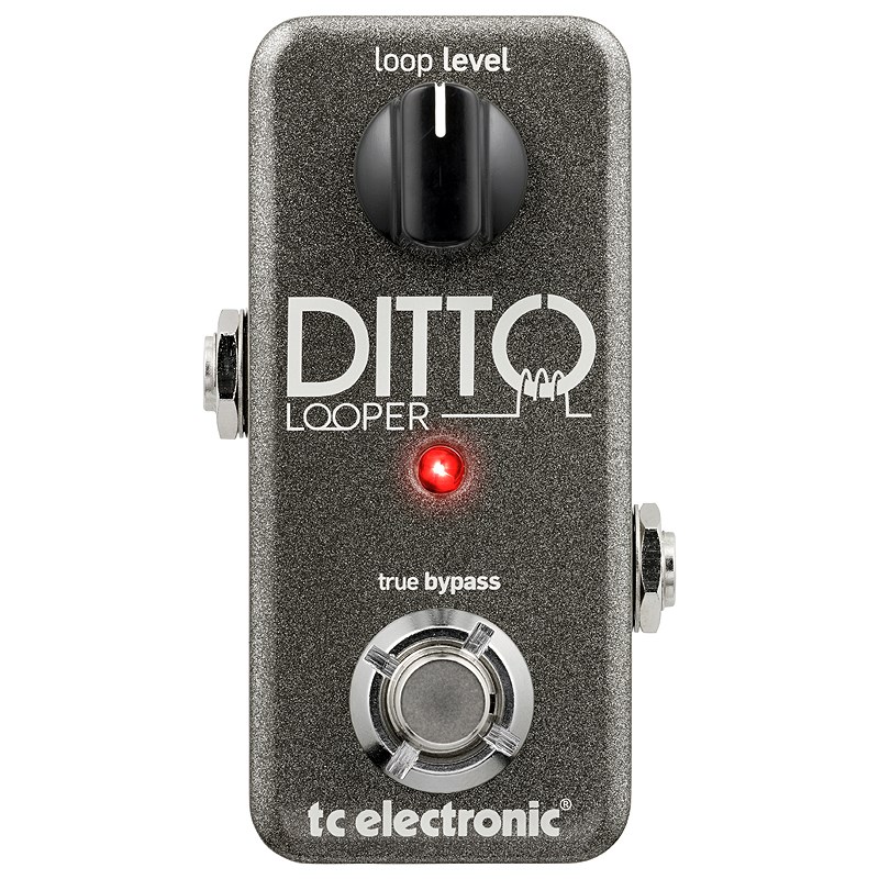 DITTO LOOPER(ティーシーエレクトロニック)ルーパー tc electronic (新品)