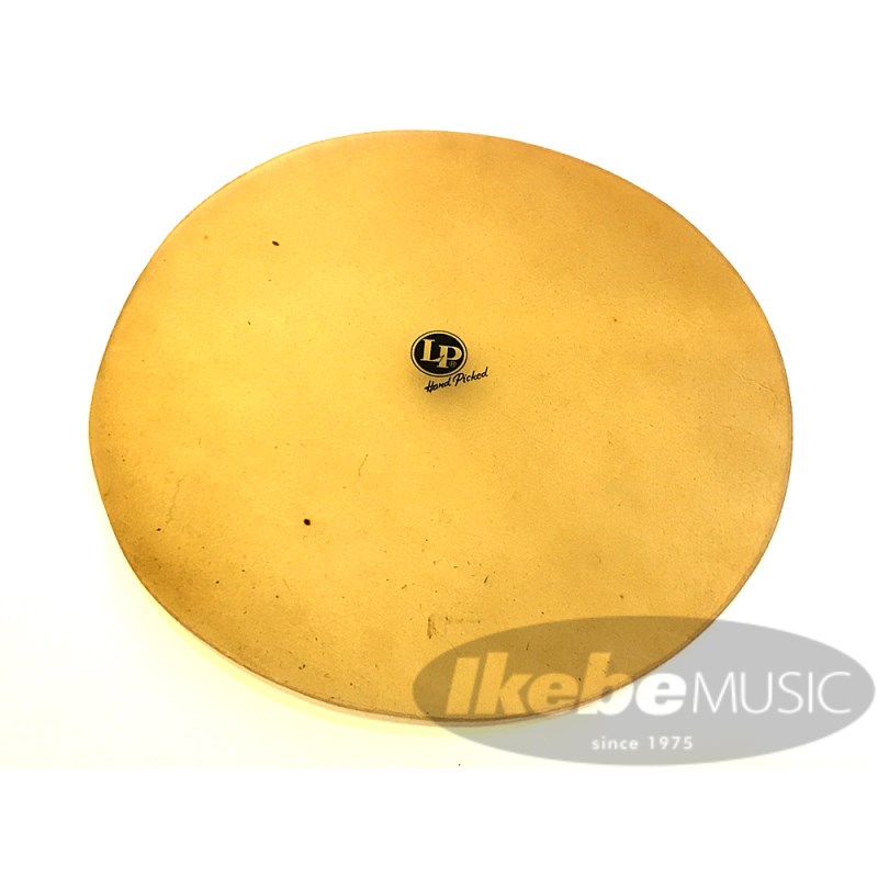 LP221C [Flat Skin 22(12-1/2まで対応)] 【お取り寄せ品】 LP (新品)