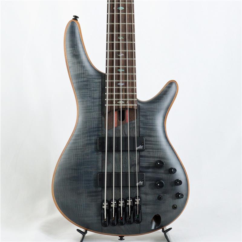 SR1455DW-TGF 【国内イケベ独占販売限定モデル / イケベ50周年特別キャンペーン】 Ibanez (新品)