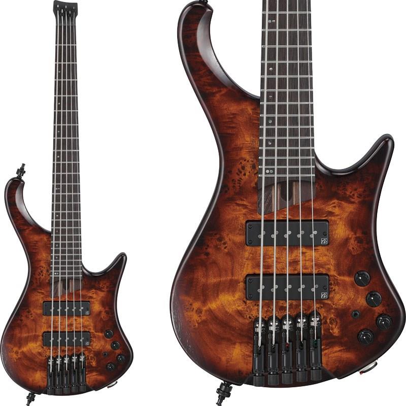 Bass Workshop EHB1505S-DEL [SPOT MODEL]【特価】 Ibanez (アウトレット 新品特価)｜イケベ楽器ショップ
