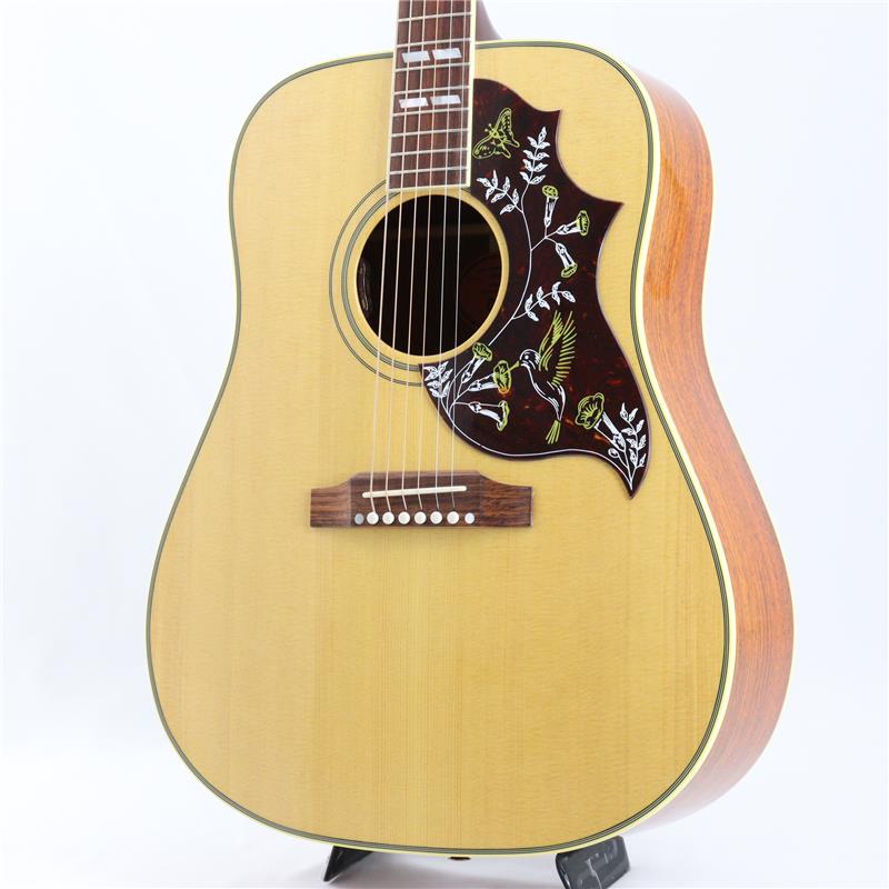 CTM Hummingbird Original Cocobolo【 SUMMER FAIR】 Gibson (新品)|イケベ楽器ショップ