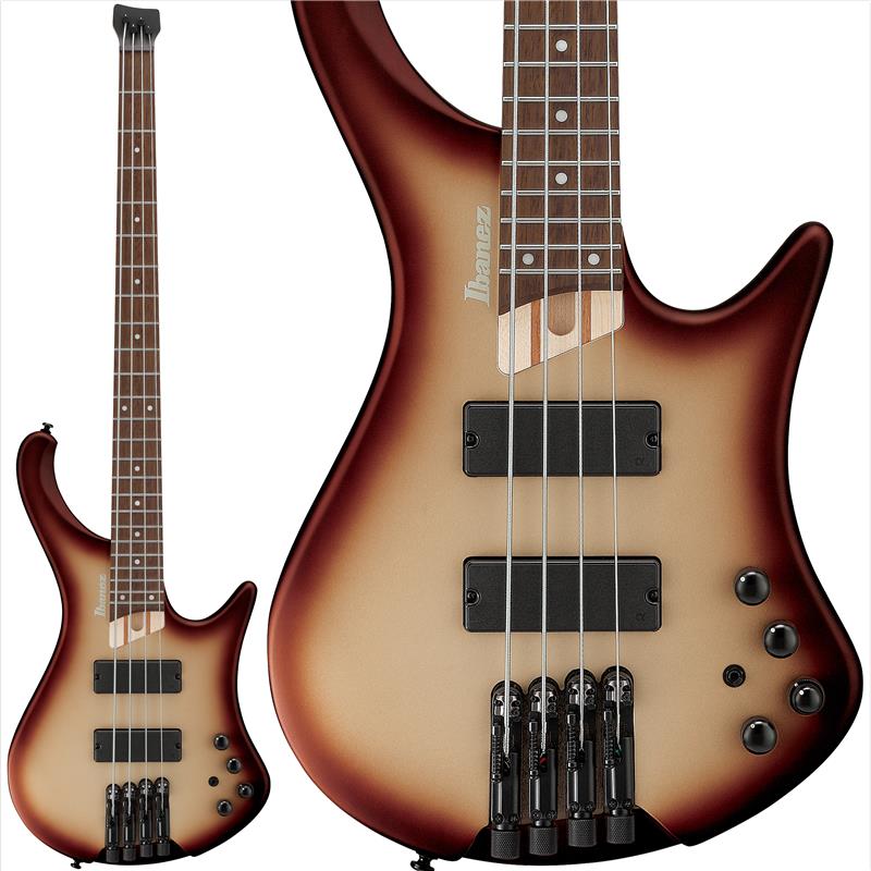 EHB600-CCM [SPOT MODEL] Ibanez (新品)｜イケベ楽器ショップ