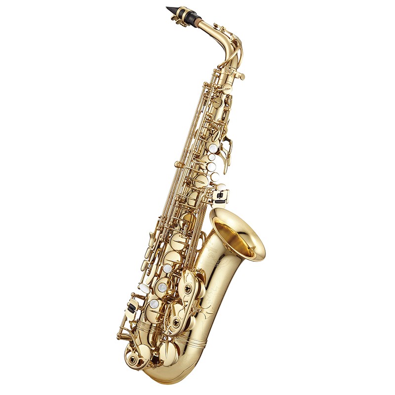 楽天市場】ANTIGUA / AS PROONE AM W/CASE アンティグア アルト