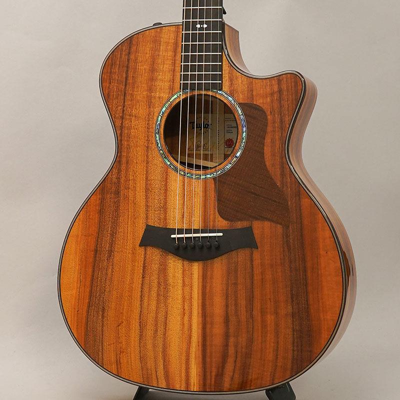 724ce V-Class テイラー TAYLOR (新品)