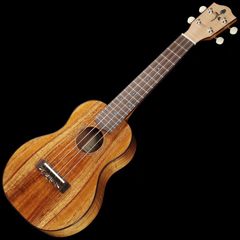 FGN Acoustic FUS-TC [Concert] フジゲン FUJIGEN (新品)