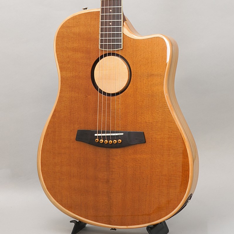【春得セール】AEG-1 TOR エルアールバッグス L.R.Baggs (新品)