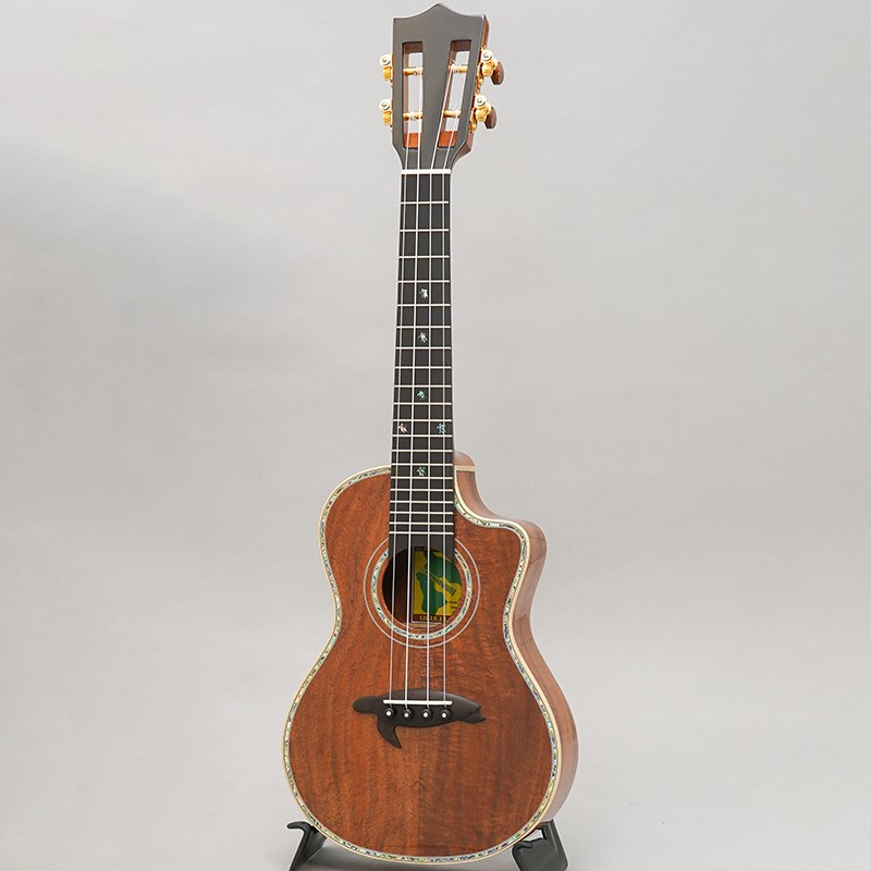 KSX-CTG ビッグアイランド BIG ISLAND (新品)