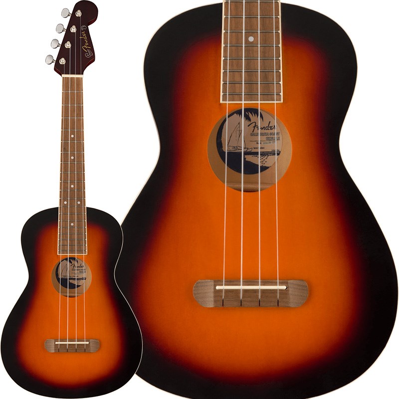 Fender Acoustics  アコースティックギター