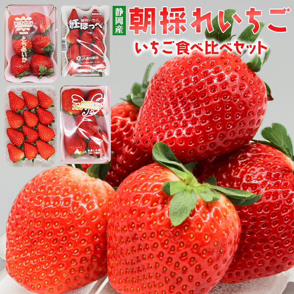 楽天市場】いちご福袋 店長おまかせ DX 4品種食べ比べセット