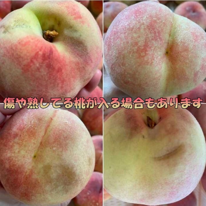 【先行予約】桃山梨産地直送大容量はね出し激安訳あり4kg前後セール品甲州白鳳系白桃系笛吹一宮御坂塩山お買い得クール便※離島・沖縄など一部地域によって送料がかかる場合がございます