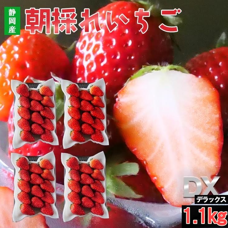 Z いちご 紅ほっぺ きらぴ香 1.1kg 以上 (280g×4パック) イチゴ 苺 DX 産地直送 高級 静岡県 伊豆の国 フルーツ 果物 誕生日 贈り物 プレゼント 食べ物 itigo お返し ギフト 贈り物 甘い おいしい 甘いイチゴ 糖度 美味しい イチゴギフト おいしいフルーツ