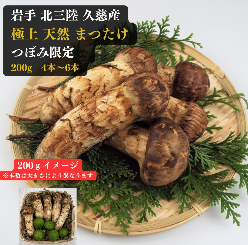 楽天市場】岩手産 松茸 つぼみ約200g 毎朝の競によって仕入れて