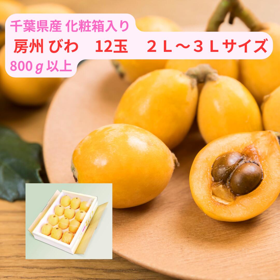 5月20日より入荷次第順次発送 千葉県産 房州 びわ 2L-3L 約800g以上（12玉）＜ 送料・消費税込＞ 手土産  贈り物 御 祝い 御 礼 御 出産 誕生日 返礼 旬 ビワ 千葉びわ 琵琶 冷蔵便にてお届け 沖縄及び離島はお届け不可