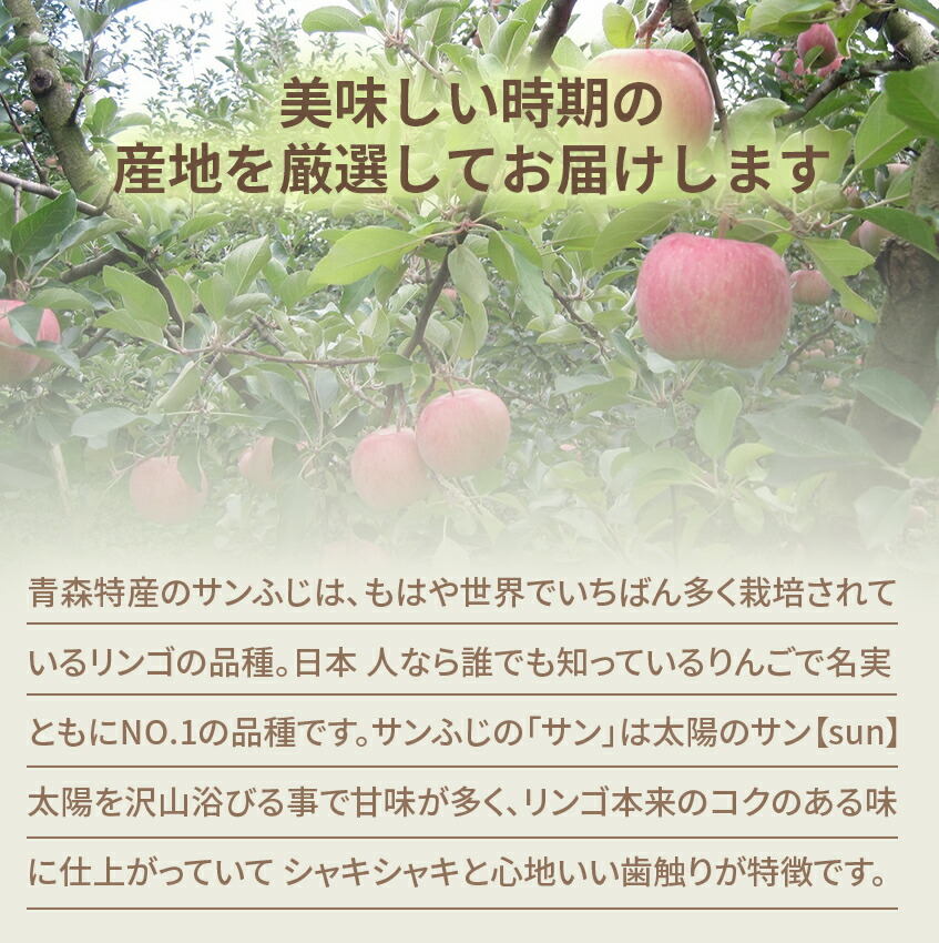 1月11日(水）お届けから　 旬の マスクメロン ＆ 苺 ＆ りんごの3種セット 熊本・長崎県産他　国産　マスクメロン ＆ 福岡県産 あまおう または 栃木県産 とちおとめ 青森県産 サンふじりんご＜送料・消費税込＞ 贈り物  お 年賀  フルーツ  果物 くだもの 詰め合わせ