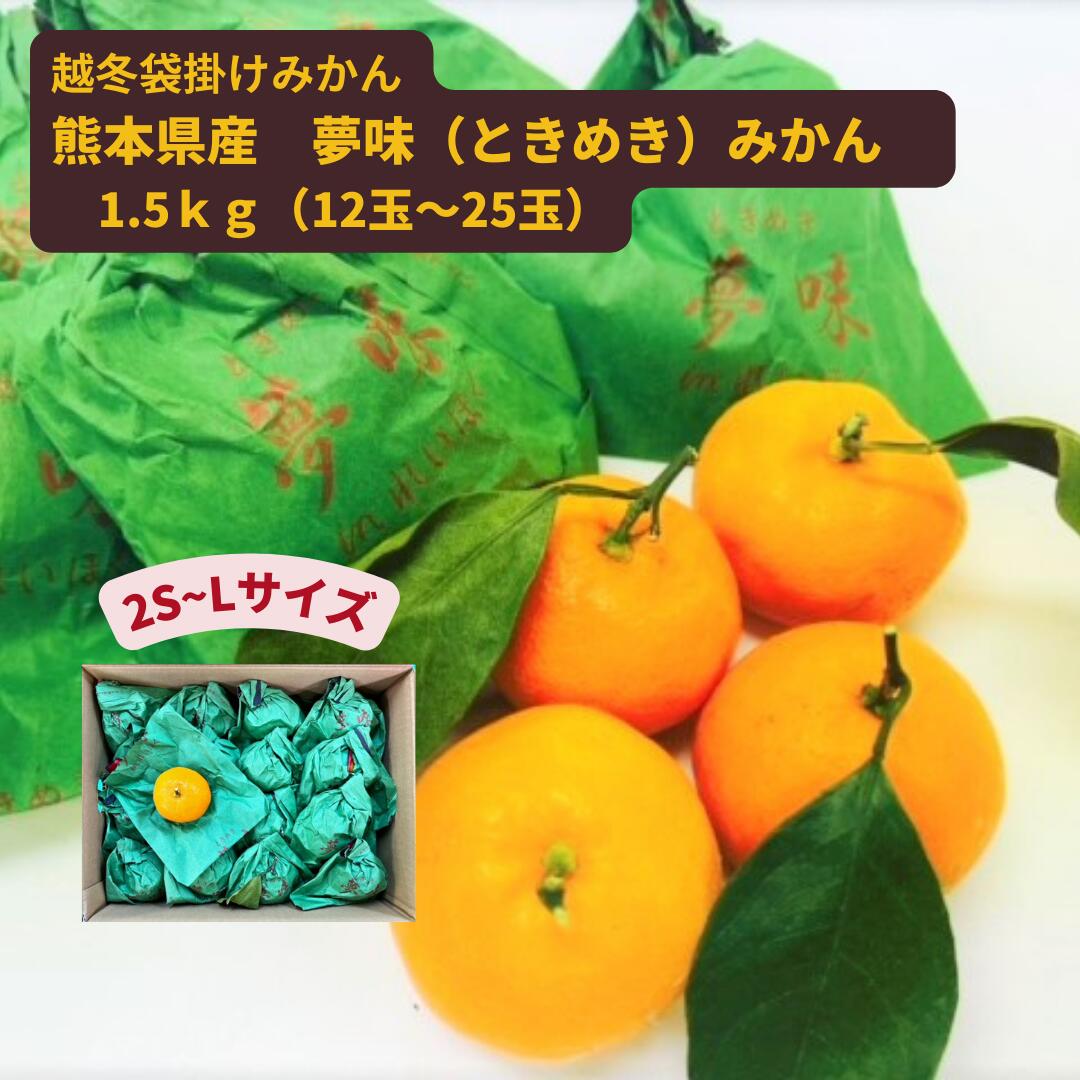 【楽天市場】残りあと僅か！ 2月1日まで販売 熊本県産 越冬 袋掛けみかん「夢味」ときめき 12～25玉入り 1.5kg ＜ 送料・消費税込 ...