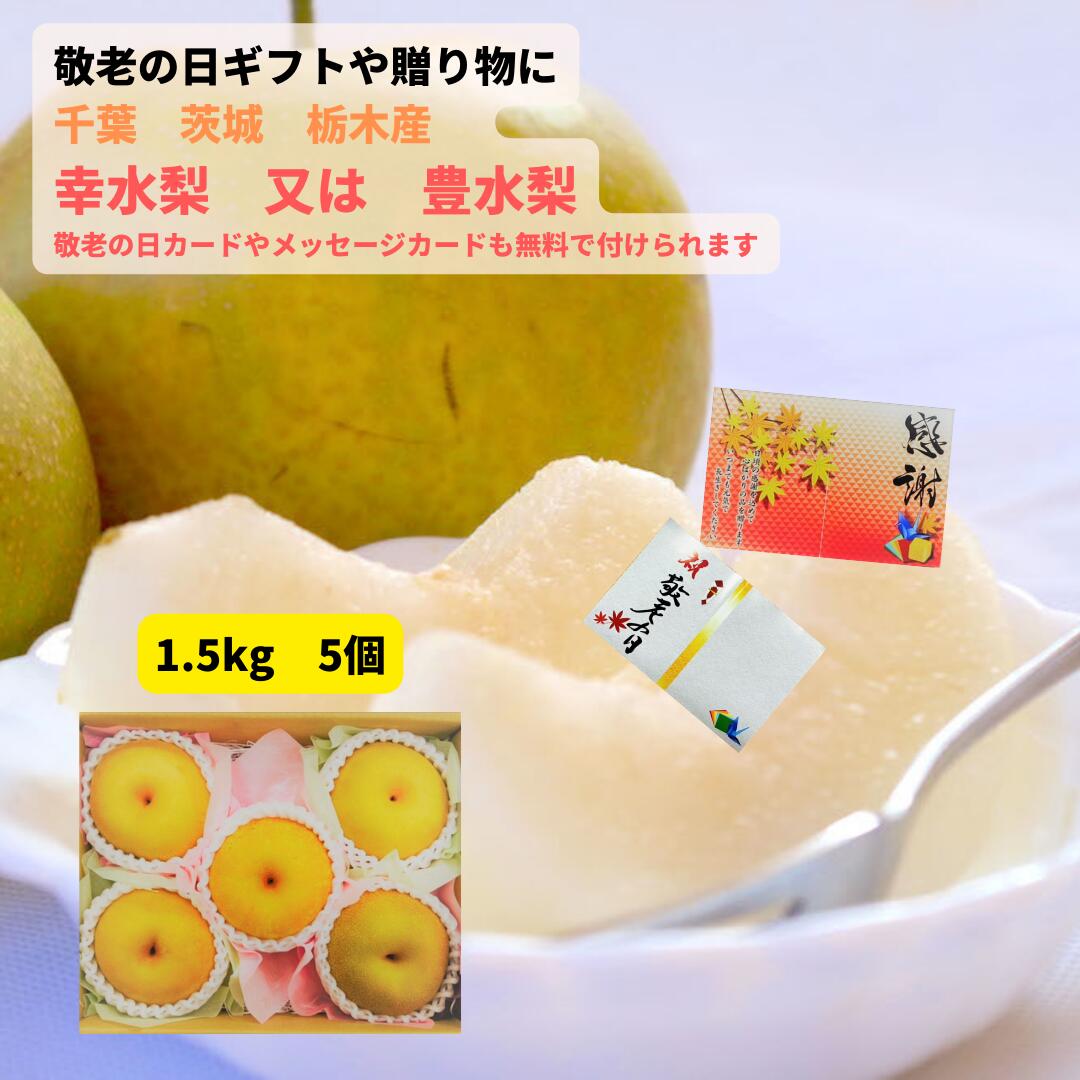 【楽天市場】敬老の日 ギフト お勧め 千葉 栃木 茨城県産 幸水梨 又は 豊水梨(産地、品種は時期によって変わります) 5個 1.5kg 送料 ...