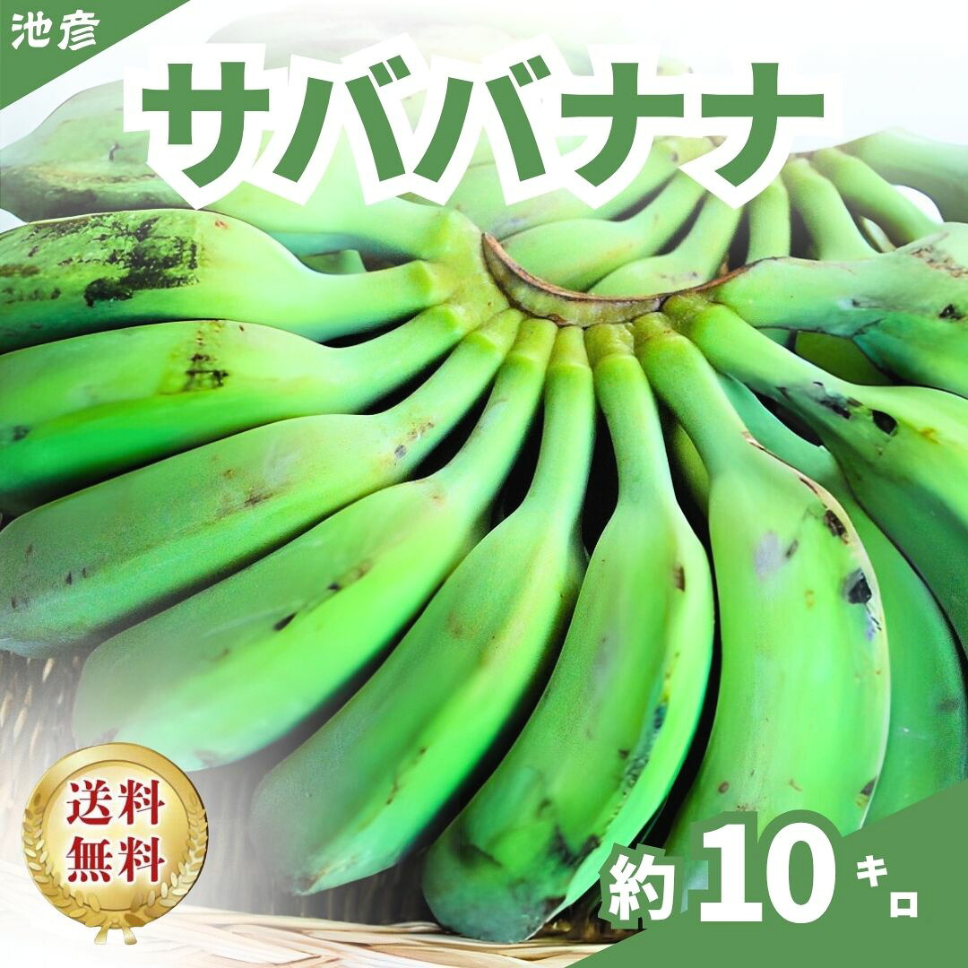 フィリピン産 送料無料】サババナナ カルダババナナ 加工用 約10キロ
