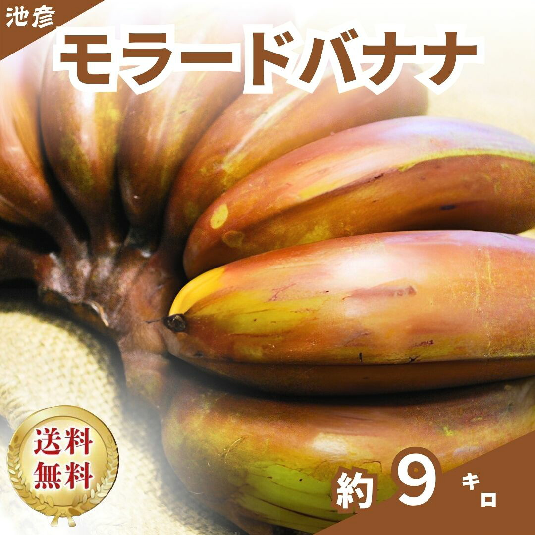 フルーツ・果物 モラードバナナ/スイーツ/南国フルーツ/紫バナナ