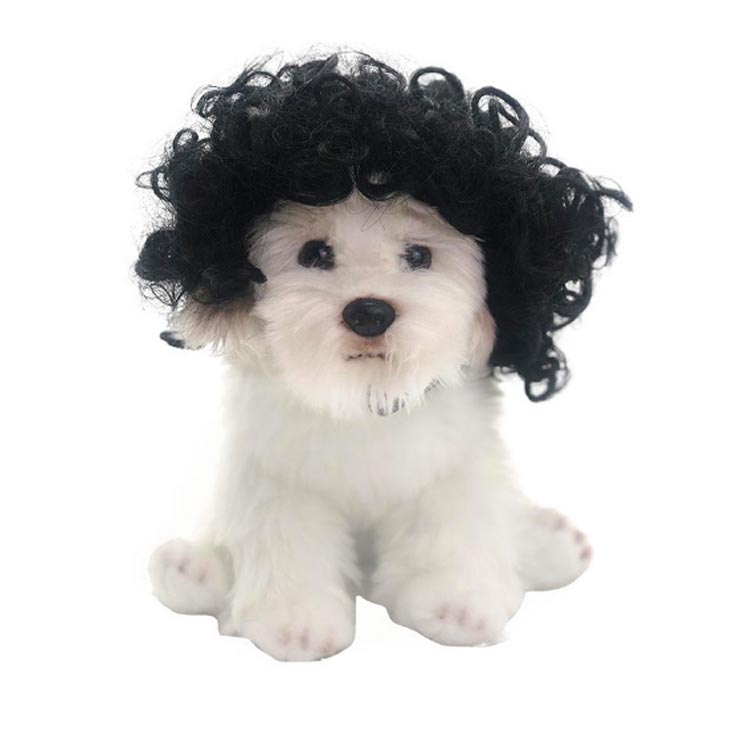 犬 猫用 かつら ウィッグ 面白い かわいい かっこいい コスチューム パーマ ソフト 小型犬 散歩 中型犬 出掛け 古典 猫