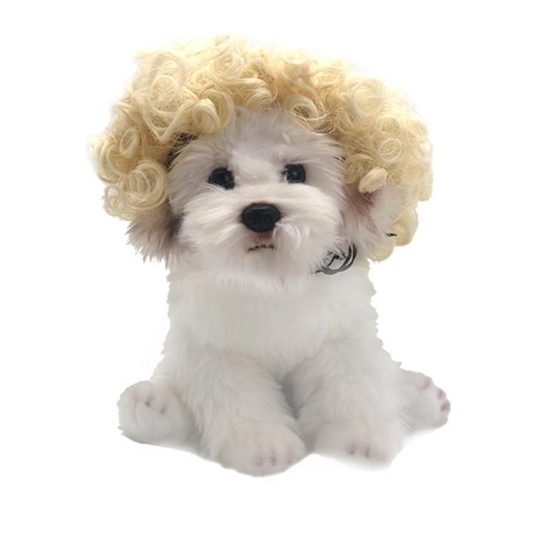 犬 猫用 かつら ウィッグ 面白い かわいい かっこいい コスチューム パーマ ソフト 小型犬 散歩 中型犬 出掛け 古典 猫