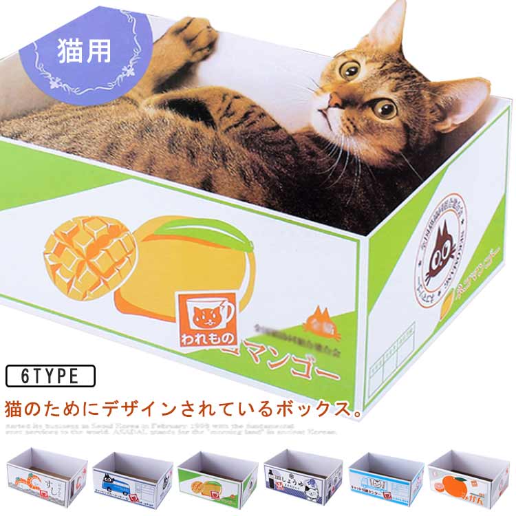 専用出品　しごねこさん用 専用出品 しごねこさん用 専用出品 しごねこさん用 仕事猫