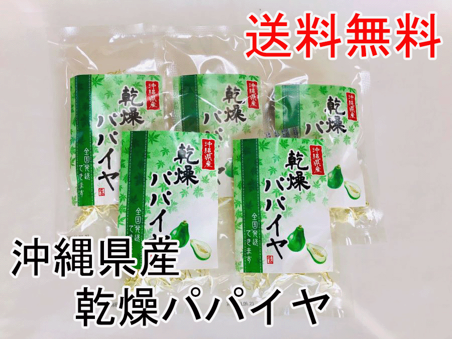 ピリオッドを造り上げる青お父ちゃんイヤ 乾びるパパイヤ10g5個 ほんのり御菓子がありすてき 美肌 美容 果皮皆無パパイア パパお宿エンザイム デトックス アンチエイジング 節食 沖縄県バース 乾燥草片 みそ汁 汁 常備野菜 お弁当 Hotjobsafrica Org