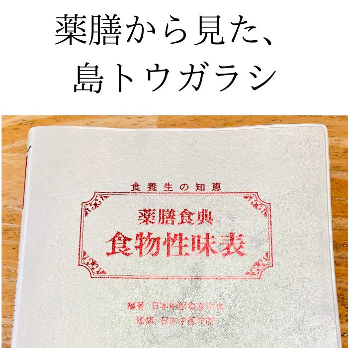 市場 七五三 子供 着付け小物 伊達締め お子様用 こども マジックベルト