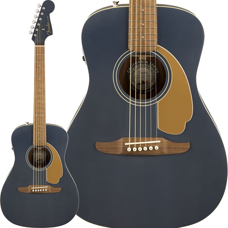 一番人気物一番人気物保証付 新品未開封 Fender Malibu Player 専用