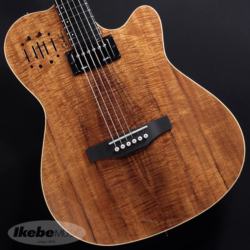 待望の再入荷! Godin A6Ultra Extreme 25周年記念30台限定色 - 通販