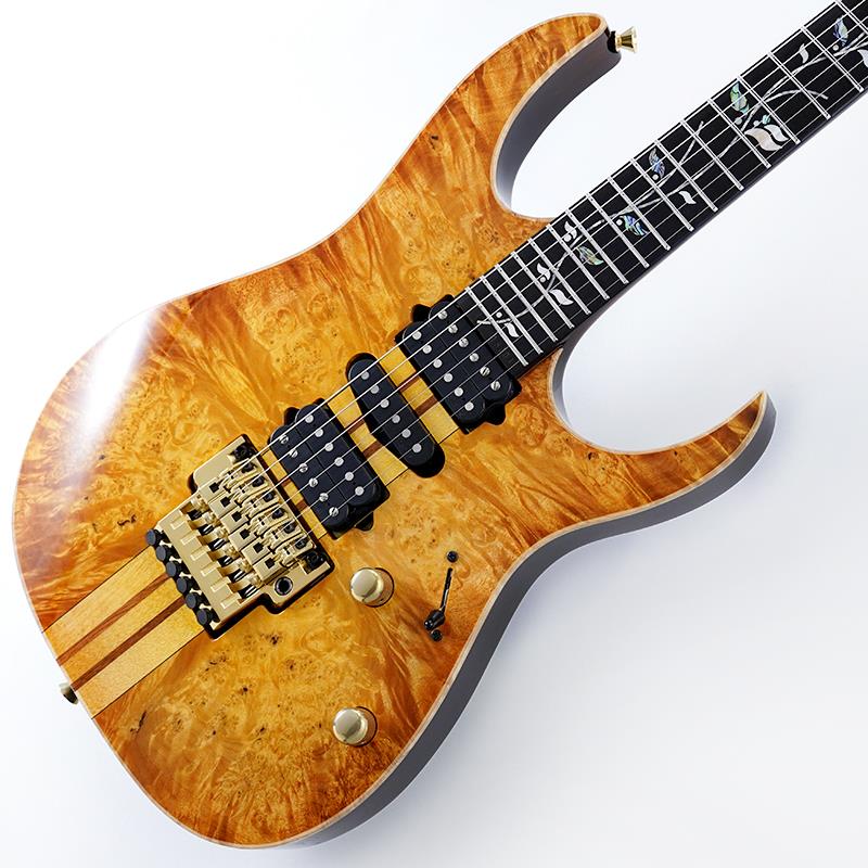 Ibanez VISIONS IV1RG SN.H25304|イケベ楽器 イケシブ