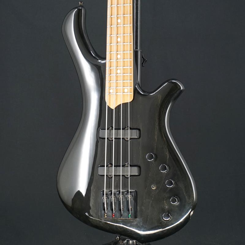 MAYONES USED 中古 BE EXOTIC 4st KONIGS TIGER (Trans Black Gloss/Maple F.B)｜イケベ楽器 イケシブ