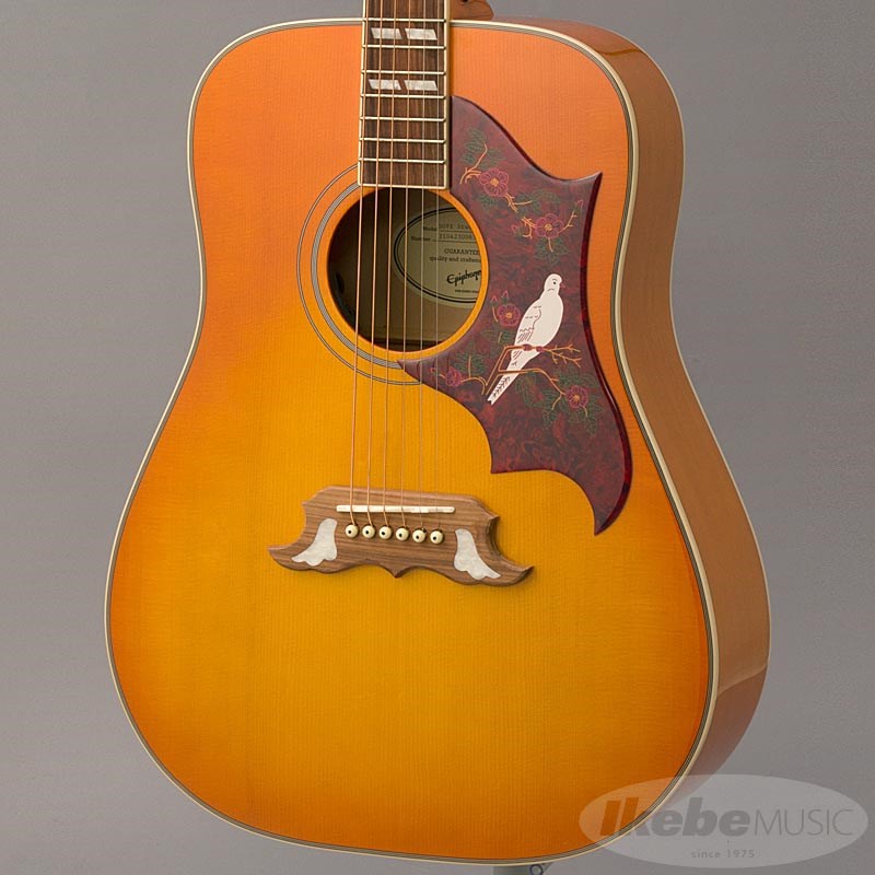 楽天市場】Epiphone DOVE Studio(DOVE Pro) Violinburst ダブ