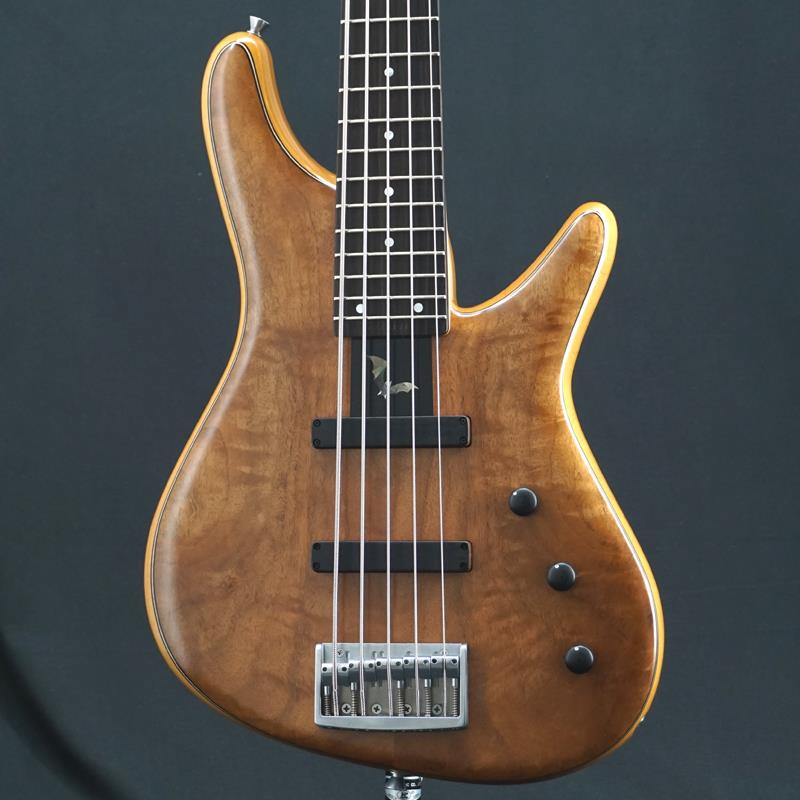 Sugi USED 中古 NB5MUE BTN-WN/ALD2P｜イケベ楽器 イケシブ