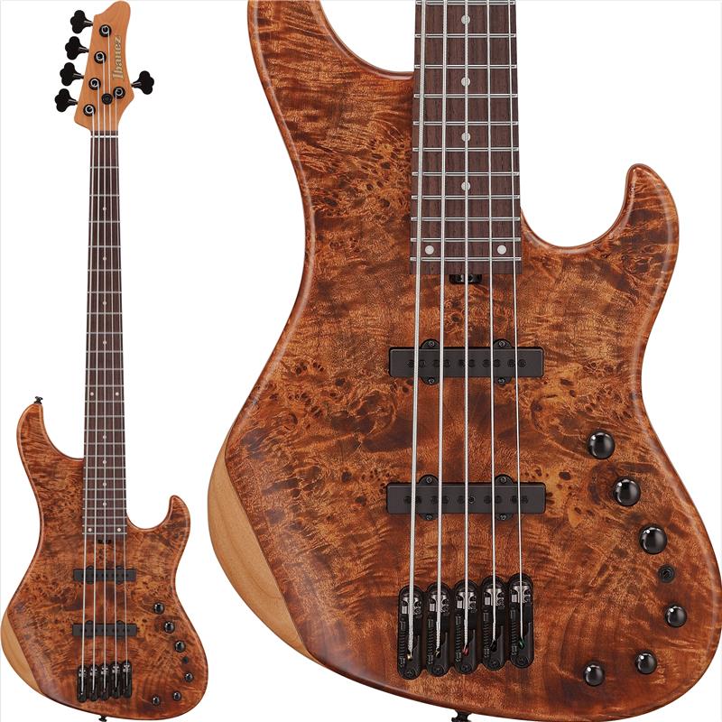 Ibanez 【7月下旬以降入荷予定、ご予約受付中】 MDM1605-NML|イケベ楽器 イケシブ