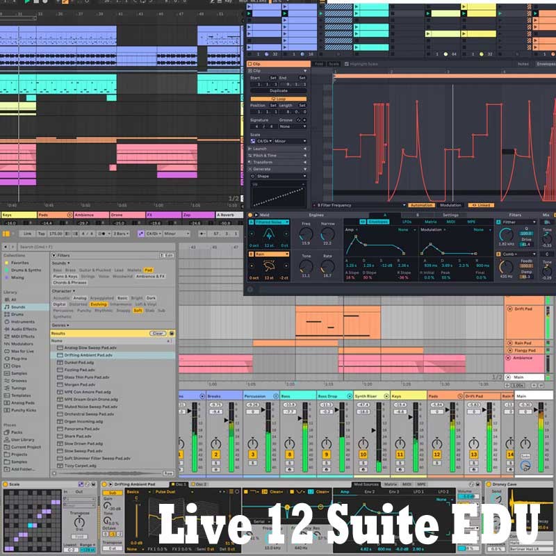 ableton Live 12 Suite EDU アカデミック版 (代引不可)(オンライン納品)|イケベ楽器 イケシブ