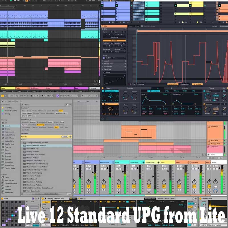 ableton Live 12 Standard UPG from Lite (代引不可)(オンライン納品) 音楽制作-パソコン・周辺機器-PCソフト