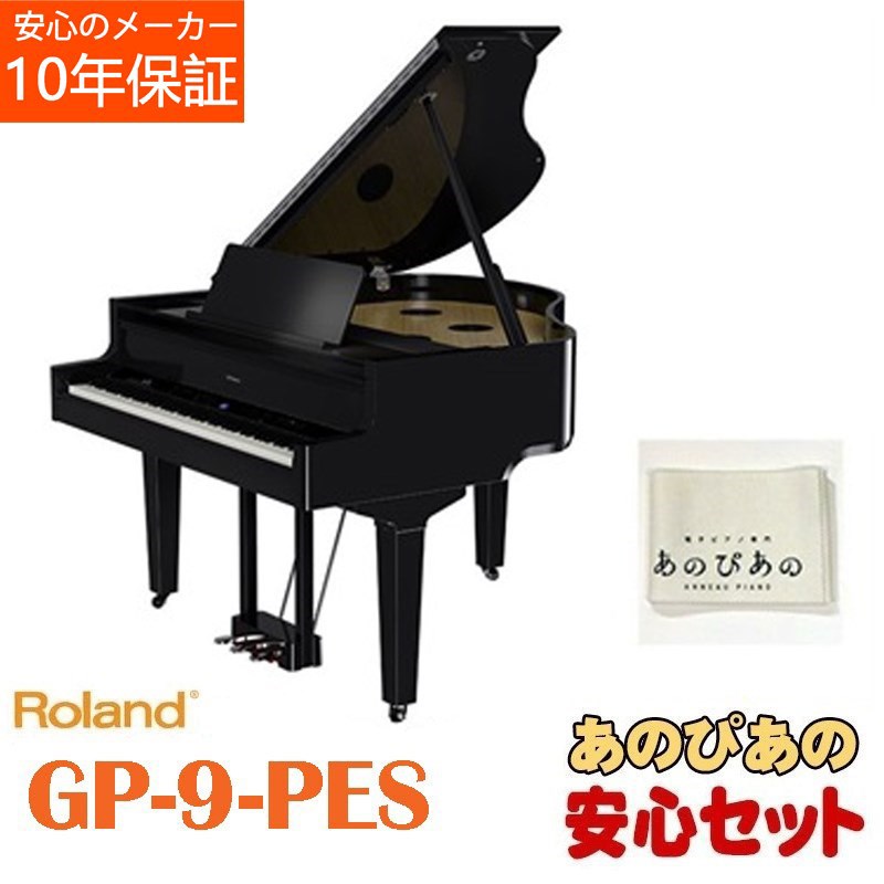 楽天市場】Roland MN-10 Mood Pan 【次回入荷未定ご予約受付中