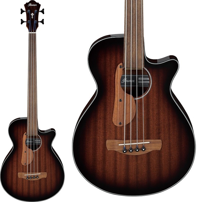 Ibanez AEGB24FE-MHS [SPOT MODEL]