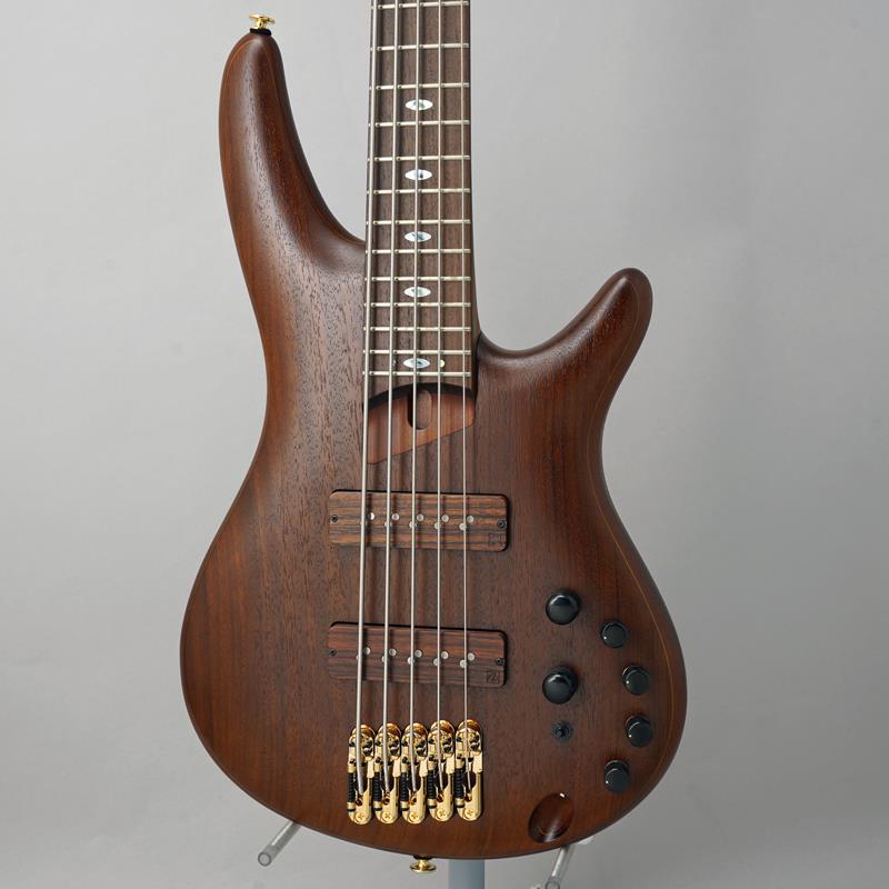 Ibanez Prestige SR5505-MHF 【大決算セール】｜イケベ楽器 イケシブ