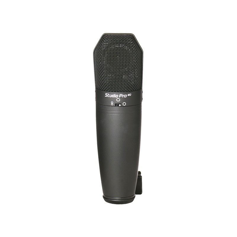 PEAVEY STUDIO PRO M2【お取り寄せ商品】|イケベ楽器 イケシブ