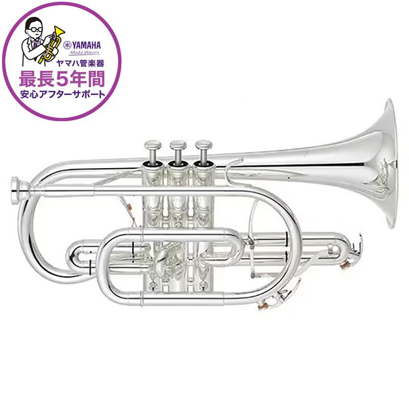 楽天市場】Denis Wick デニス・ウィック / 3B GP コルネット用 マウス