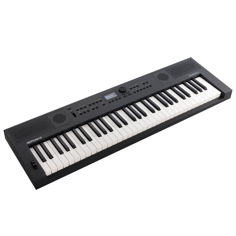 Roland GOKEYS5-GT (GO:KEYS 5) Music Creation Keyboard(代引き不可)｜イケベ楽器 イケシブ