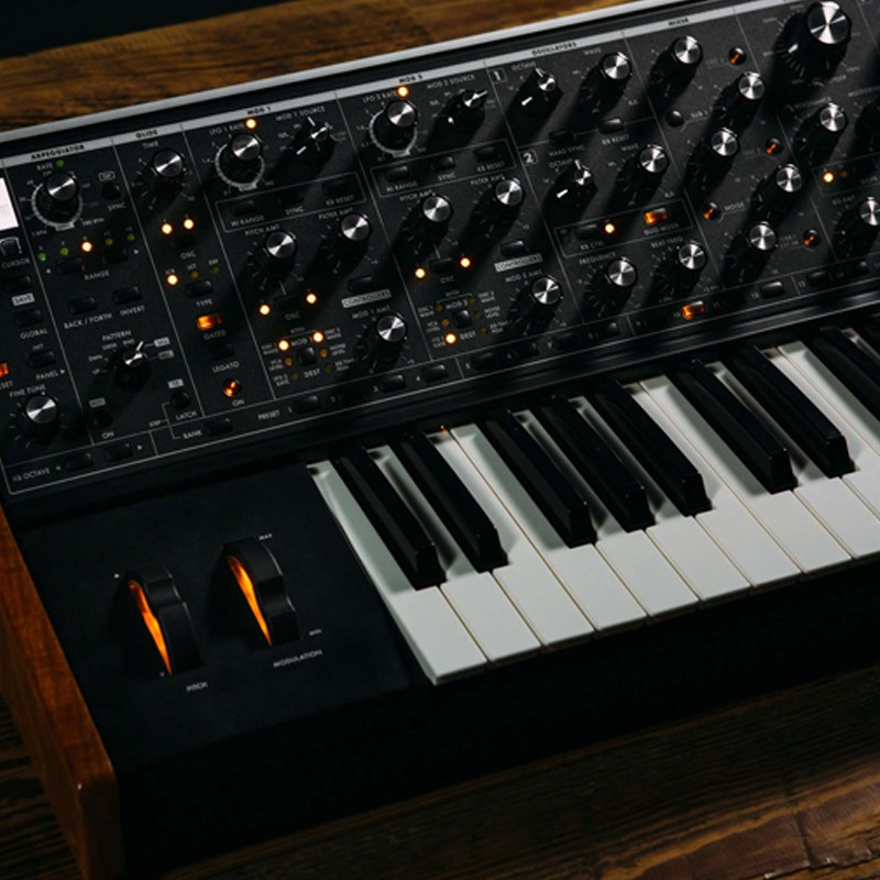 海外輸入 moog Subsequent37 純正ギグバッグセット fucoa.cl