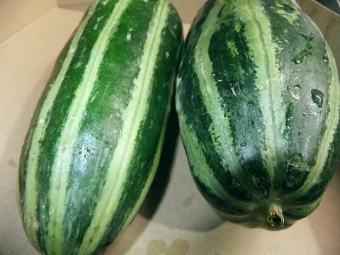 【楽天市場】発送は7月下旬ごろより！朝採り新鮮発送！炒め物や漬物等に！長野産 シマウリ（縞瓜）5個-15個（約5k）：なんでも屋さん＜本店＞