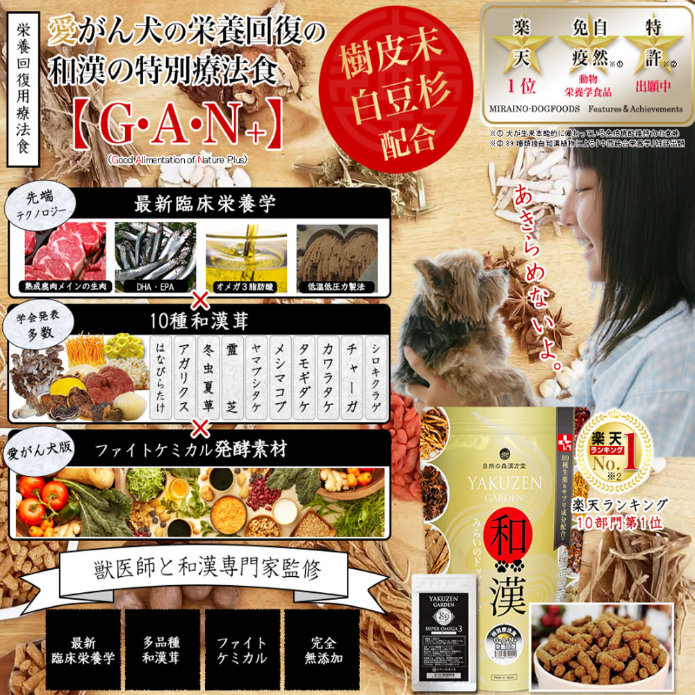 ６個まとめ購入で42 Off 愛がん犬のための和漢みらいのドッグフード 特別療法食 栄養回復 G A N 6個セット愛がん犬 ペット食事療法栄養回復用療法食腫瘍 癌 抗がん剤使用の愛犬の 健康維持 としてもご使用可能です 療法食 自然の森製薬 店