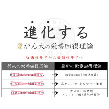 ６個まとめ購入で42 Off 愛がん犬のための和漢みらいのドッグフード 特別療法食 栄養回復 G A N 6個セット愛がん犬 ペット食事療法栄養回復用療法食腫瘍 癌 抗がん剤使用の愛犬の 健康維持 としてもご使用可能です 療法食 自然の森製薬 店